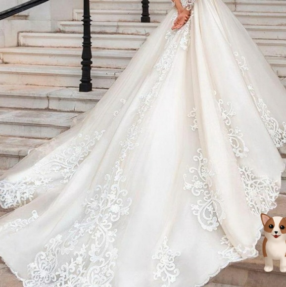 Gorgeous lace applique organza wedding gown - Picture 5 of 6